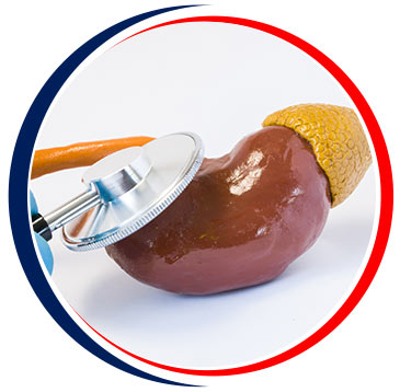 Adrenal Disorders Treatment Near Me in Little Rock, AR