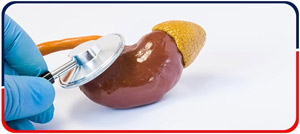 Adrenal Disorders - Arkansas Diabetes and Endocrinology Center Near Me in Little Rock, AR Adrenal Disorders - Arkansas Diabetes and Endocrinology Center Near Me in Little Rock, AR