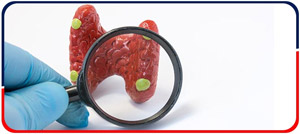 Metabolic Bone, Calcium and Parathyroid Disorders - Arkansas Diabetes and Endocrinology Center Near Me in Little Rock, AR Metabolic Bone, Calcium and Parathyroid Disorders - Arkansas Diabetes and Endocrinology Center Near Me in Little Rock, AR