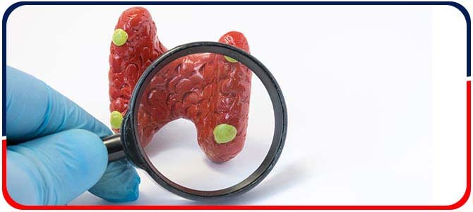 Metabolic Bone, Calcium and Parathyroid Disorders - Arkansas Diabetes and Endocrinology Center Near Me in Little Rock, AR Metabolic Bone, Calcium and Parathyroid Disorders - Arkansas Diabetes and Endocrinology Center Near Me in Little Rock, AR
